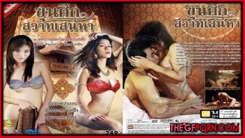 ไทยxxx โยกเย็ด โป๊ไทย แหกหี เสียวหี